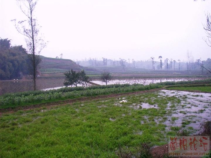 IMAG0010.JPG