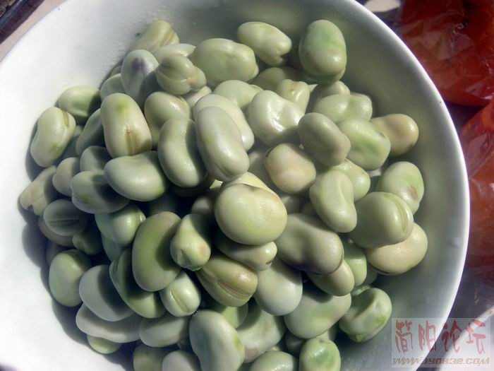 开水汆一下后的胡豆.jpg