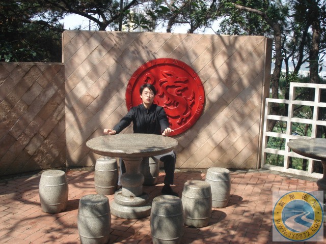 龍的傳人