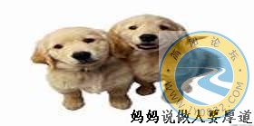 u=1737399706,278682873&gp=28[1].jpg
