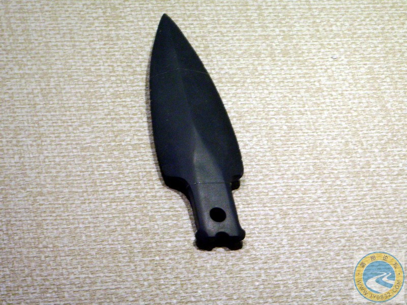SSL29484.JPG