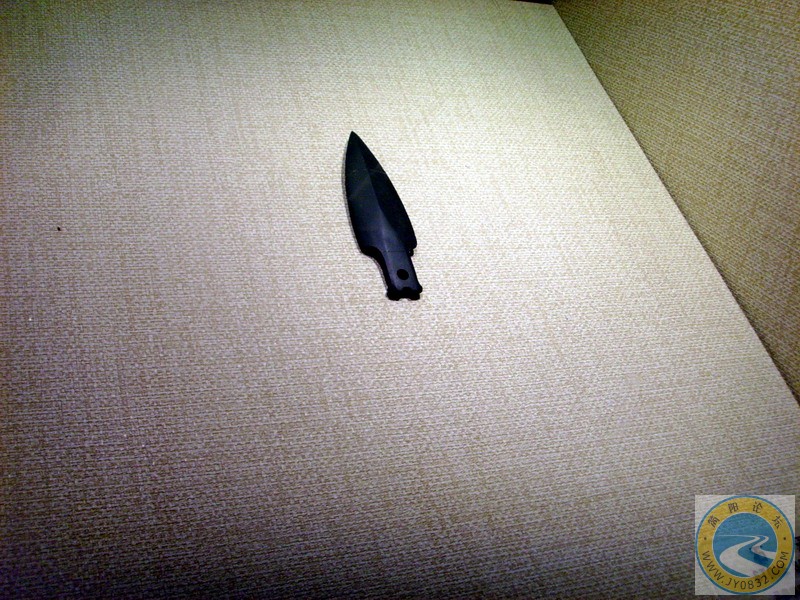 SSL29483.JPG