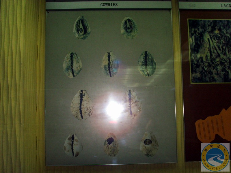 SSL29467.JPG
