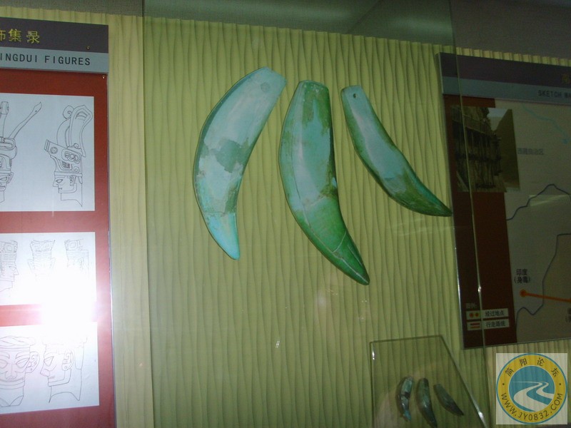 SSL29466.JPG
