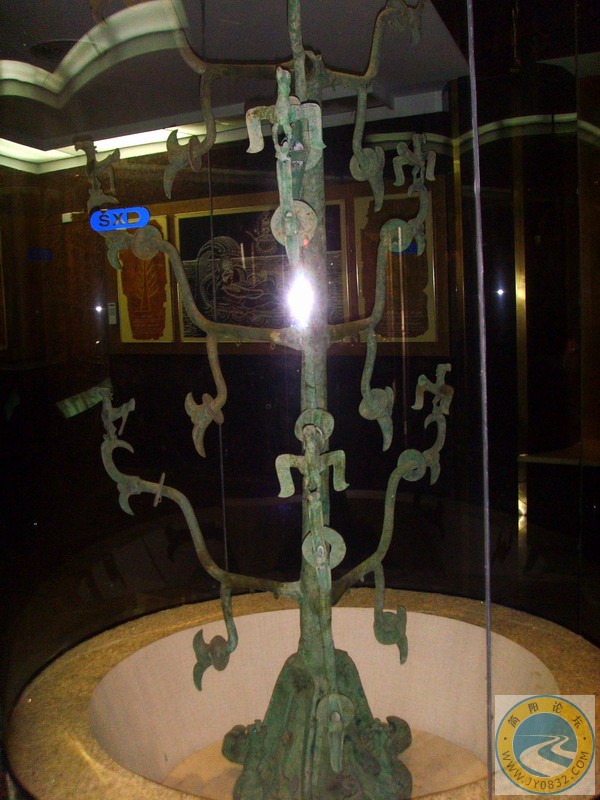 SSL29512.JPG