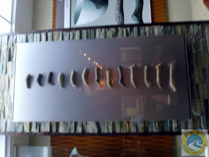 SSL29476.JPG