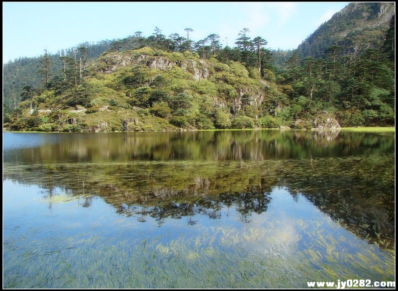 仙草湖1.jpg