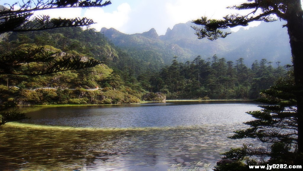 仙草湖7.jpg