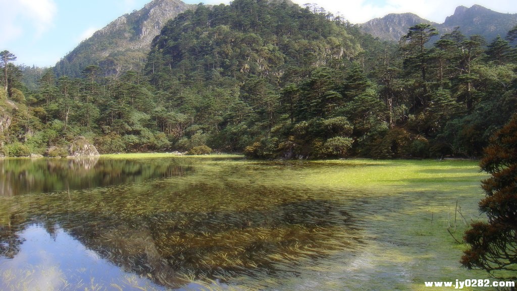 仙草湖8.jpg