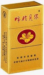 呼伦贝尔-金盒.jpg