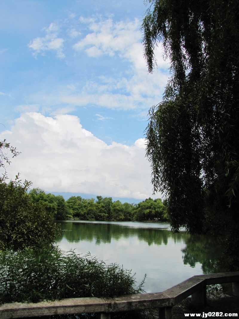 conew_img_8748.jpg