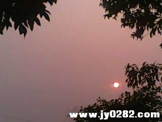 IMG1679A.jpg