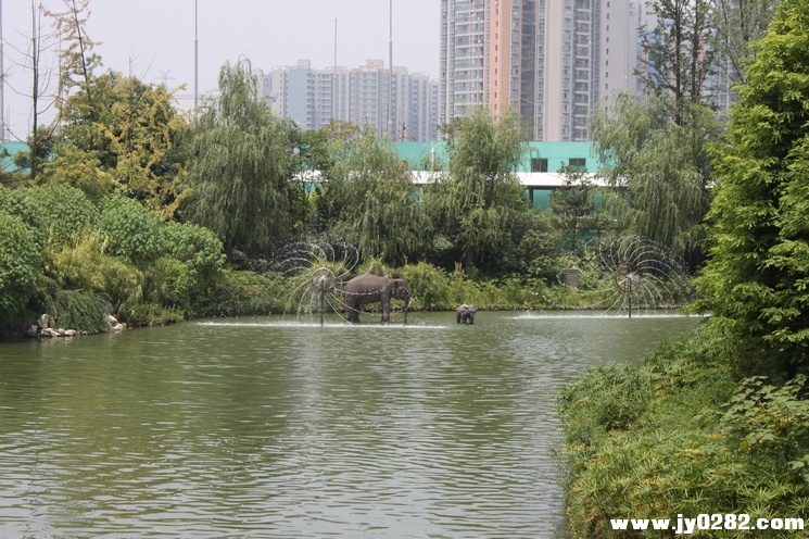 照片 118.jpg