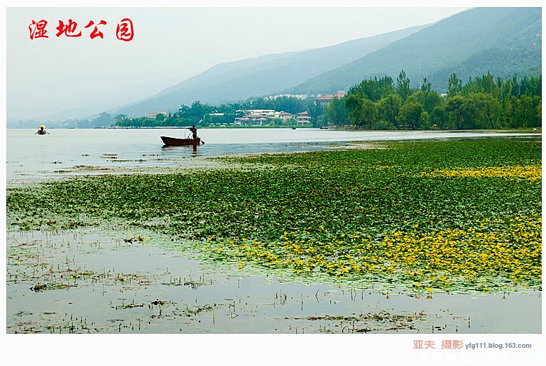 湿地公园——18副本.jpg