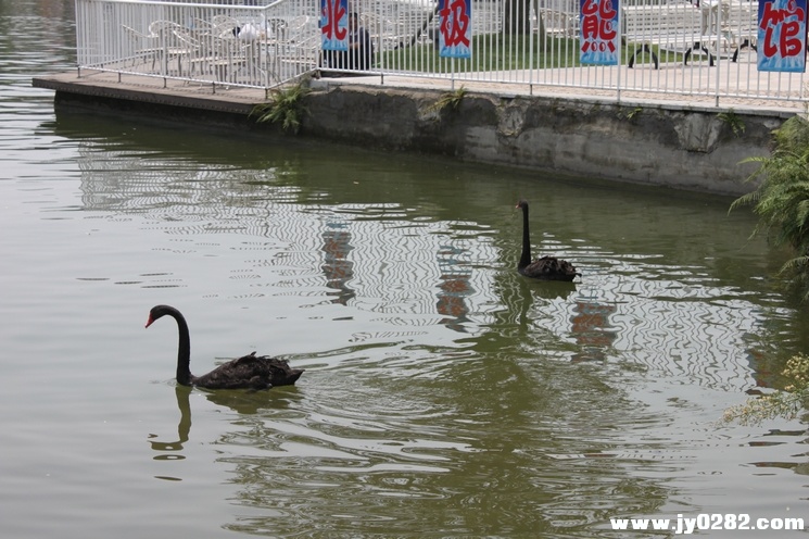 照片 131.jpg