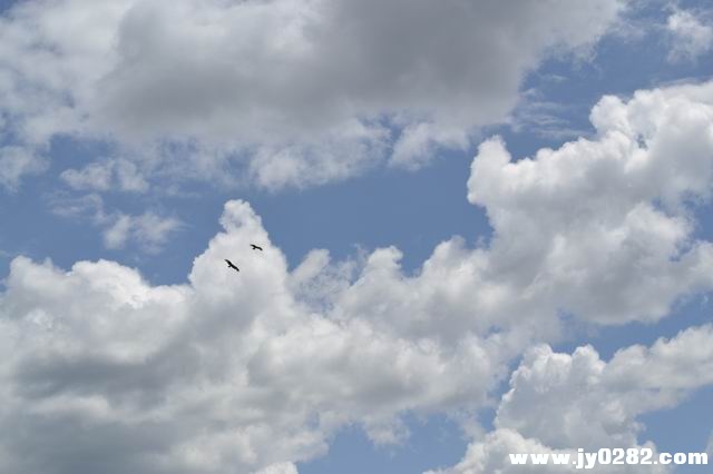 DSC_0165.JPG