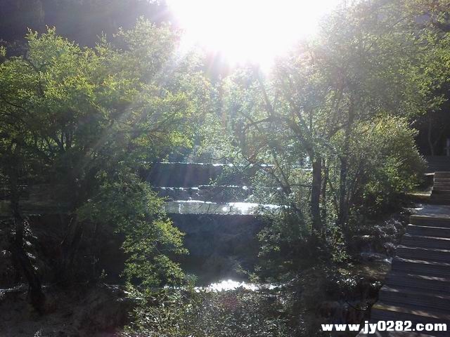 20110809073.jpg