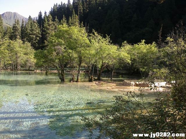 20110809077.jpg