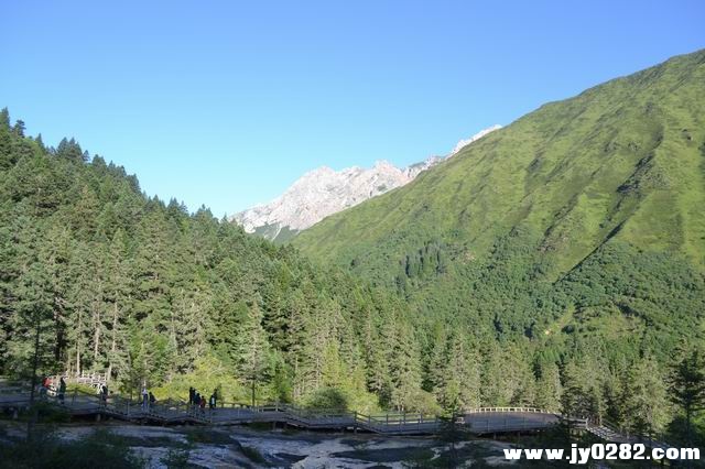 DSC_0243.JPG