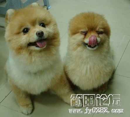 20100525152913500.jpg