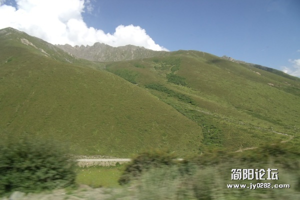DSCF1732.JPG
