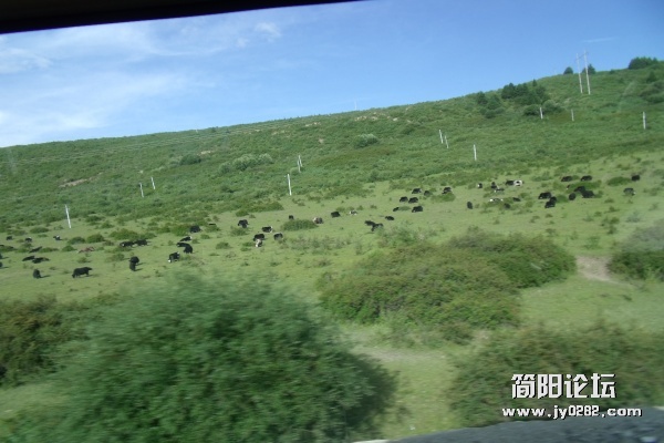 DSCF1761.JPG