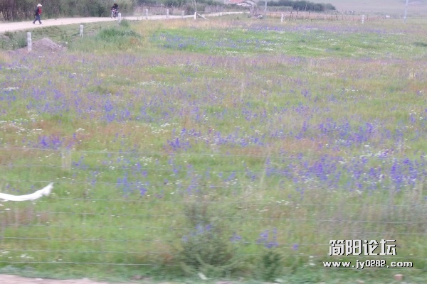 DSCF1778.JPG