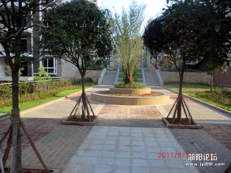 CIMG2289.jpg