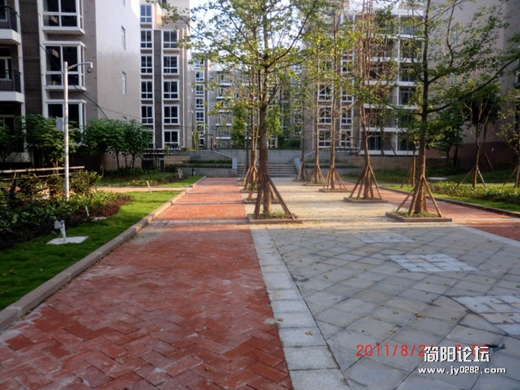 CIMG2294.jpg