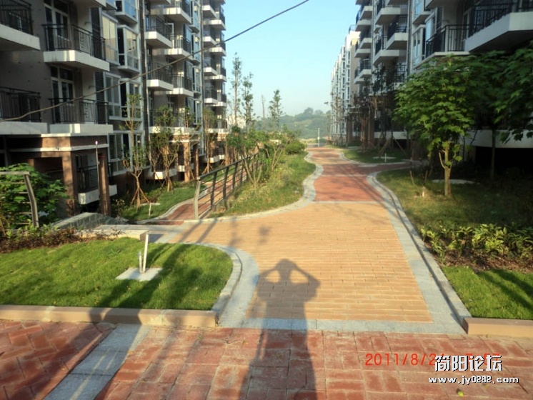 CIMG2295.jpg