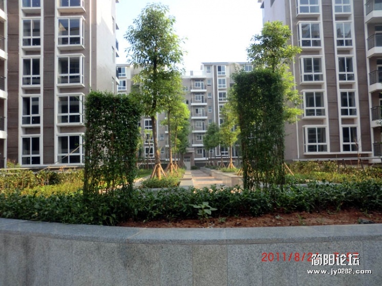 CIMG2297.jpg