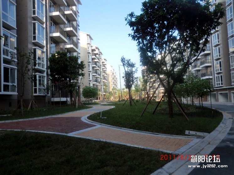 CIMG2303.jpg