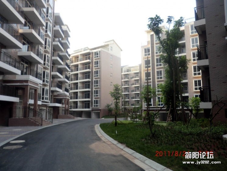CIMG2304.jpg
