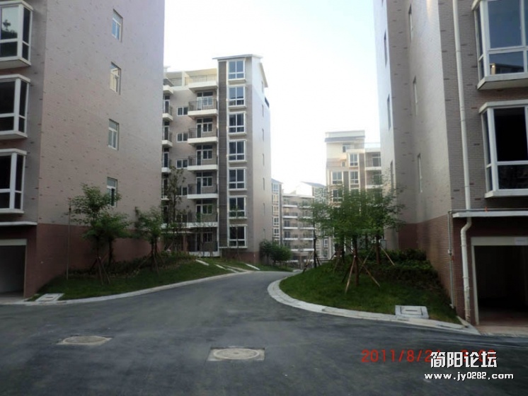CIMG2305.jpg