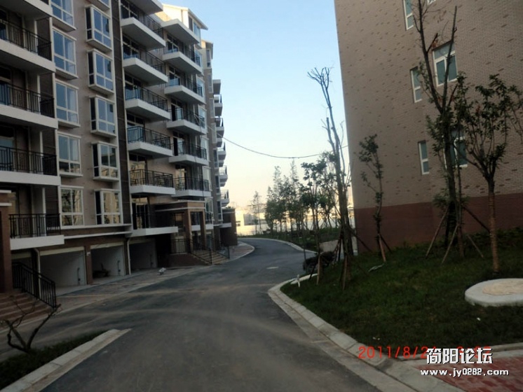 CIMG2307.jpg