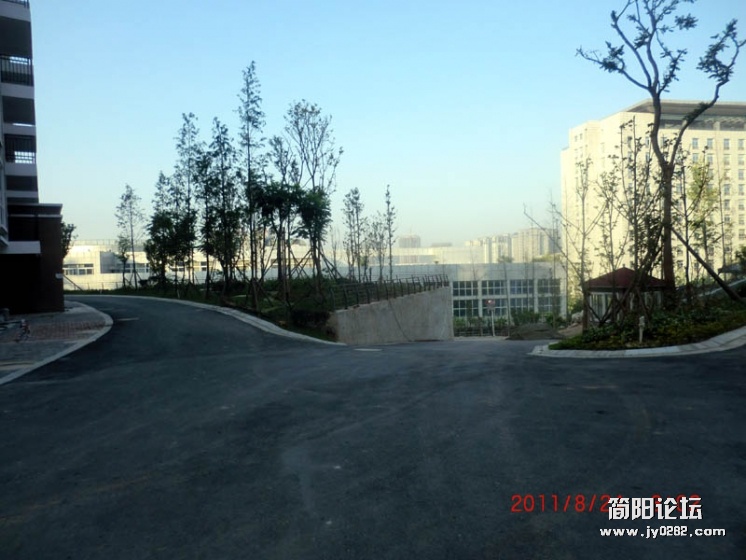 CIMG2308.jpg