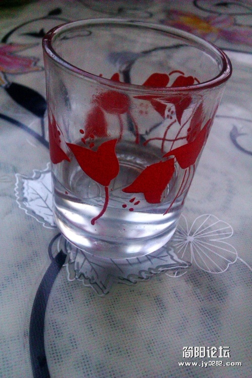 IMAG0580_conew1.jpg