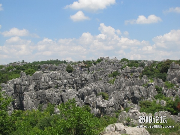 conew_7.25 019.jpg