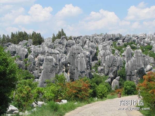 conew_7.25 026.jpg