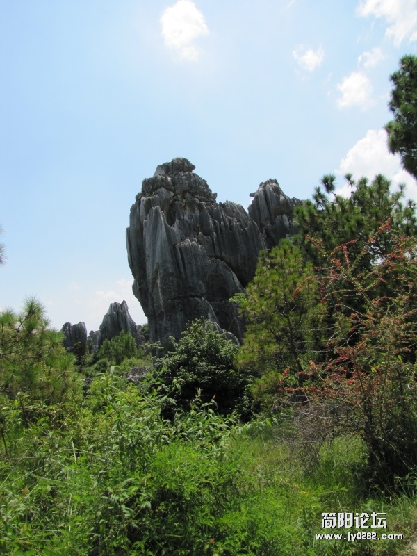 conew_7.25 037.jpg