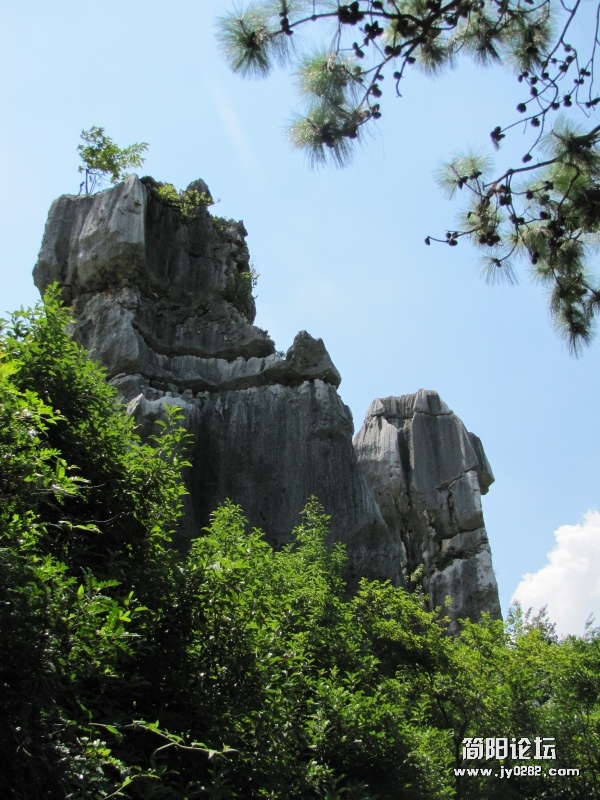 conew_7.25 040.jpg