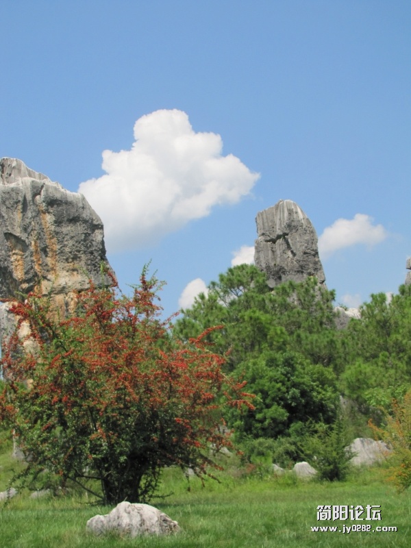 conew_7.25 043.jpg