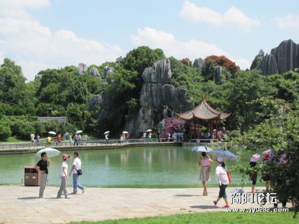 conew_7.25 050.jpg