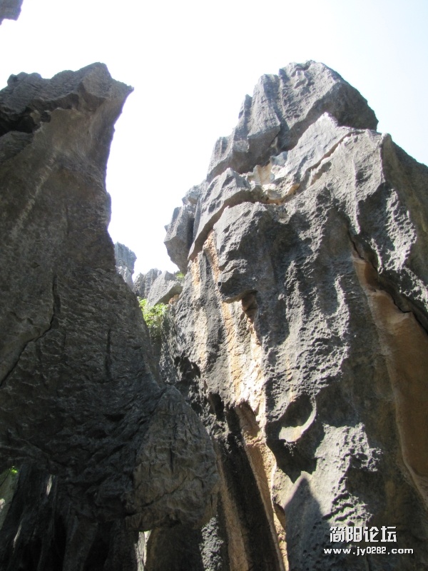 conew_7.25 070.jpg