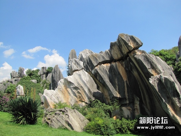 conew_7.25 080.jpg