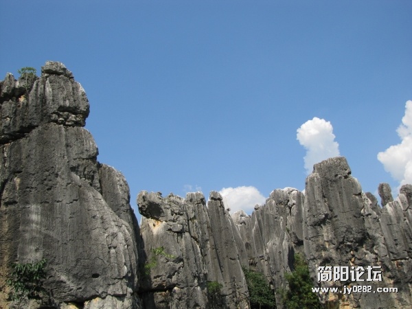 conew_7.25 100.jpg