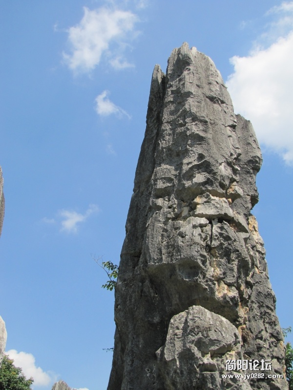 conew_7.25 108.jpg