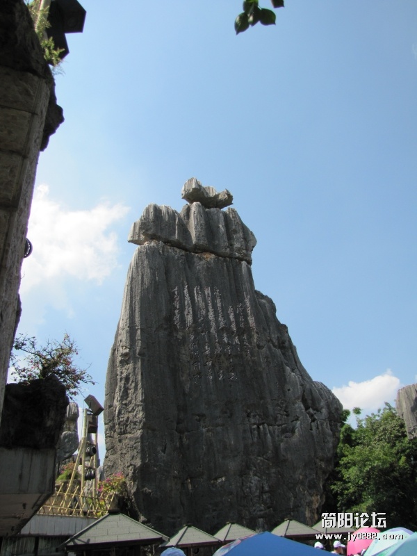 conew_7.25 116.jpg