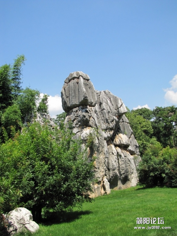 conew_conew_7.25 052.jpg
