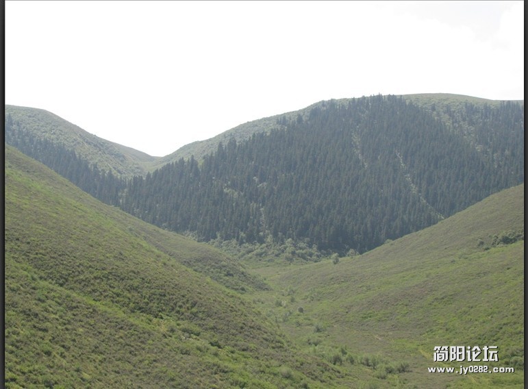 木得草原了，进山咯.jpg